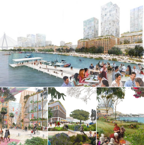 Blackwattle Bay Redevelopment